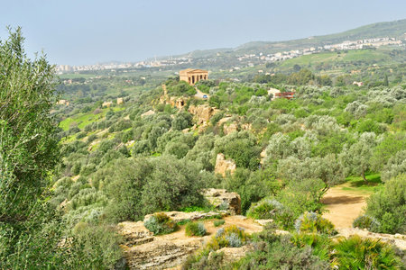 Sicily, Italy - March 8 2025: the Valley of the Temples near the city of Agrigentoの写真素材