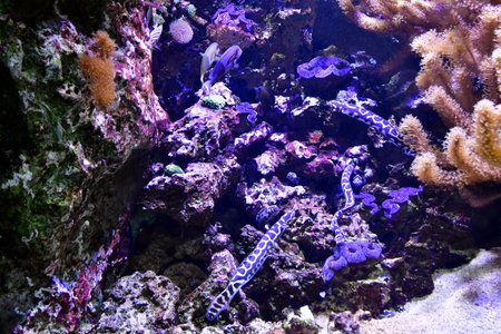 Saint-Malo; France - July 30 2023: the Grand Aquarium