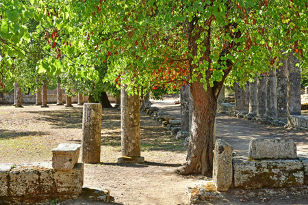 Ancient Olympia; Greece - August 30 2022: the archaeological siteのeditorial素材