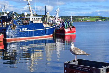 Killybegs, Ireland - September 15 2022: the fishing portのeditorial素材