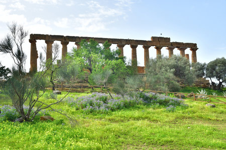 Sicily, Italy - March 8 2025: temple of Hera in the Valley of the Templesのeditorial素材