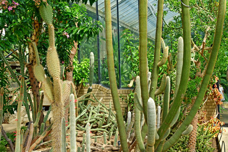 London; Richmond, England - May 28 2023: the Princess of Wales Conservatory in The Kew Gardensのeditorial素材