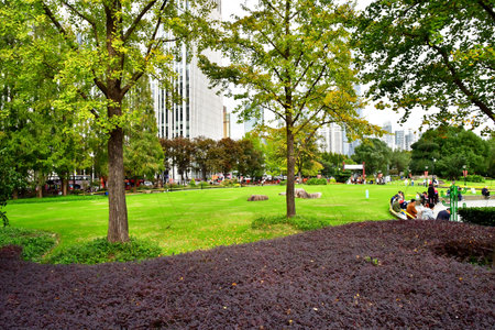 Shanghai; China - November 6 2024: a park in the Pudong districtのeditorial素材