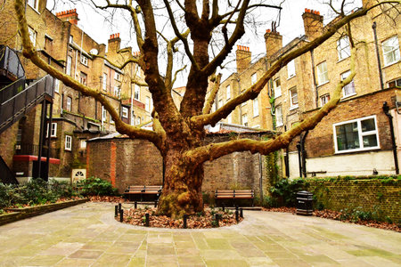 London, England - December 15 2023: Hampstead in the Camden boroughのeditorial素材