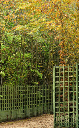 Versailles; France - October 27 2023: the castle parkのeditorial素材