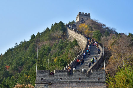 Beijingi; China - November 6 2024: the Great Wall of China near Beijingのeditorial素材