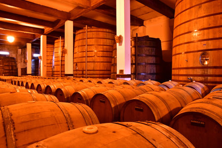 Favaios, Portugal - March 26 2022: the Adega cooperativa Favaiosのeditorial素材