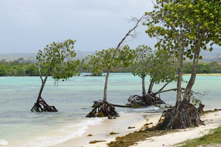 Flacq, Republic of Mauritius - July 28 2014: the picturesque seaside cityのeditorial素材