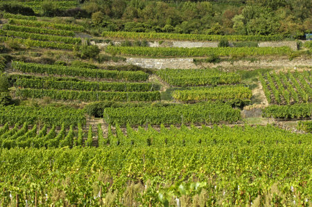 hon, France - august 18 2016: the picturesque village in Grand Estのeditorial素材