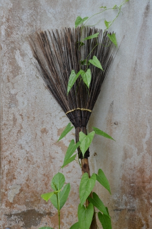 Old broomの写真素材