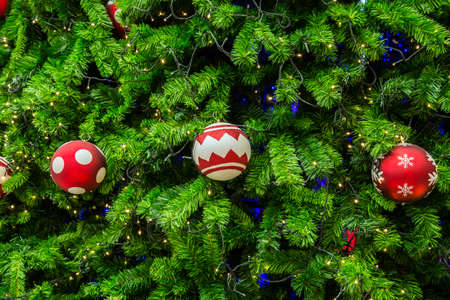 Close-up shot chrismas tree for background.