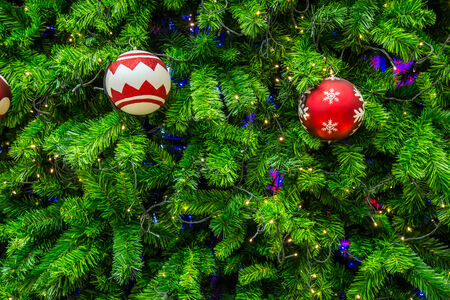 Close-up shot chrismas tree for background.の写真素材