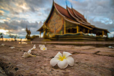 Buddhist temple in the Northeast of Thailand,の写真素材