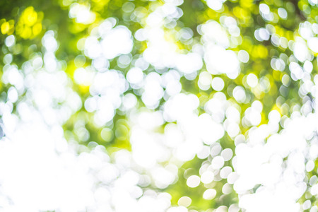 Zoom shot out of focus green tree for background. Bokehの写真素材