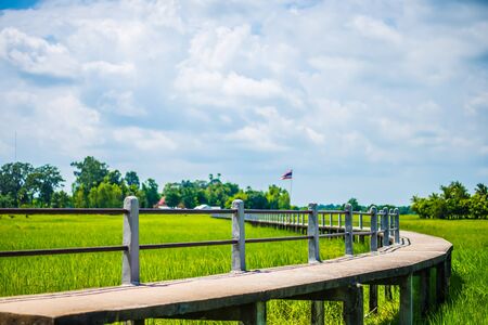 The bridge is surrounded by green rice fields.の写真素材