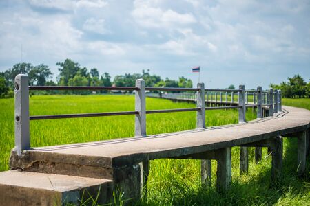 The bridge is surrounded by green rice fields.の写真素材