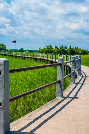 The bridge is surrounded by green rice fields.の写真素材