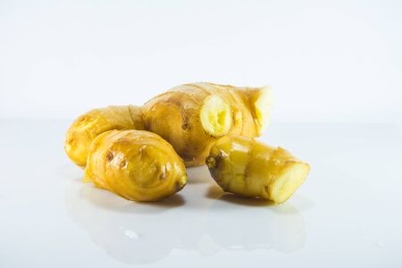 Ginger on a white backgroundの写真素材