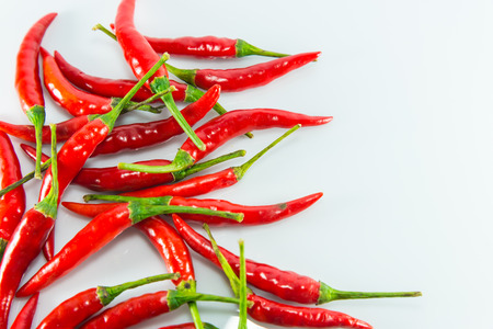 Red hot chilli on white backgroundの写真素材