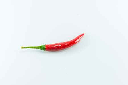 Red hot chilli on white backgroundの写真素材