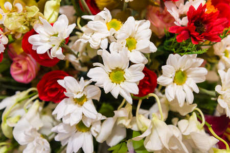 A bouquet of colorful flowers, beautiful flowers background.の写真素材