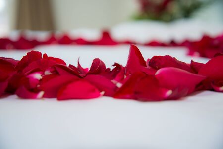 Roses placed on the the bed in wedding day. bridal houseの写真素材