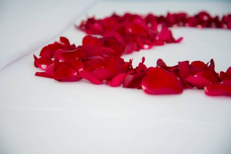 Roses placed on the the bed in wedding day. bridal houseの写真素材