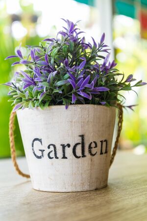 Purple flower pots placed on a wooden table.の写真素材
