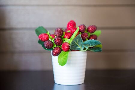 Berries used to decorate on a table, sensitive focus.の写真素材