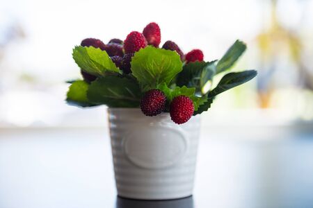Berries used to decorate on a table, sensitive focus.の写真素材