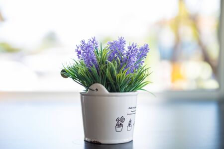 Flowers used to decorate on a table, sensitive focus.の写真素材