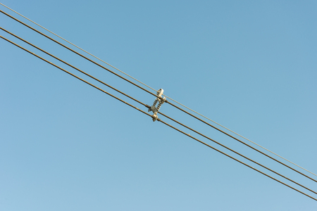 Cable Spacer of Electrical system in Thailand.の写真素材