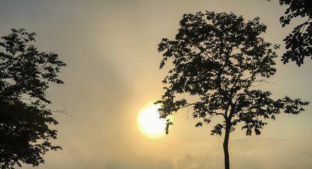 Sunrise in the morning, surrounded by mountains and mist.の写真素材