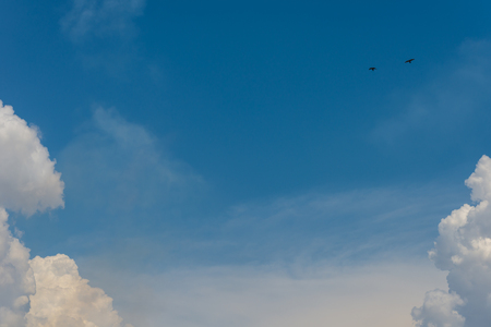 Clouds and blue sky for background.の写真素材