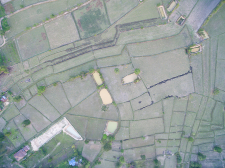 Rice Terrace Aerial Shot. Image of beautiful terrace rice field in Thailandの写真素材