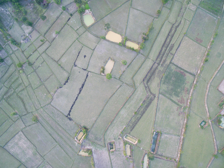 Rice Terrace Aerial Shot. Image of beautiful terrace rice field in Thailandの写真素材