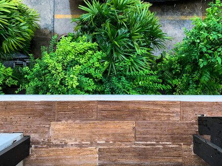 Room balcony of the hotel and garden. Hotel in Thailand.の写真素材