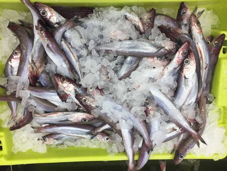 Micromesistius poutassou The blue whiting is a white meat fish very popular in Spain, usually...