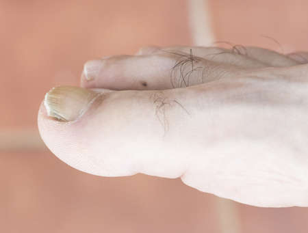 Toes in natural daylight showing fingernails and phalanx hairs reddish background