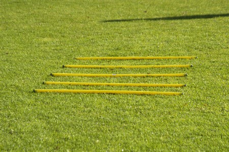 Grass soccer field MARACENA の写真素材