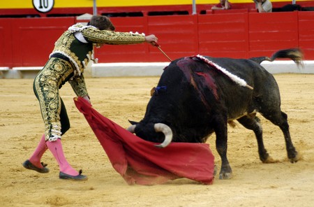 Running of the Bullsの写真素材
