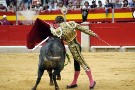 Running of the Bullsの写真素材