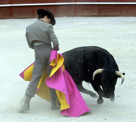 Running of the Bullsの写真素材