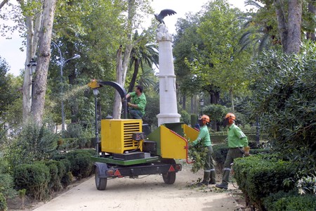 Men trimming treesの写真素材