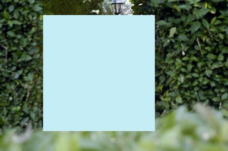 Table with plant background