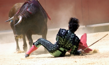 Bullfightingの写真素材