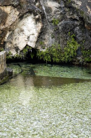 Spring waterの写真素材