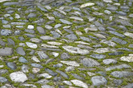 Textured paving stones with grassの写真素材