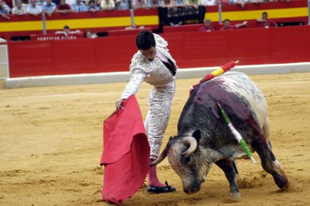 The bullfighter Miguel Abellan in the bullfight held in Granada on 3 June 2007, at Feria de Corpusのeditorial素材