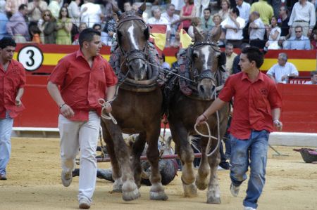 Drag the bull with horses in the bullring in Granada (Spain) in the bull Corpus Fair June 2007のeditorial素材